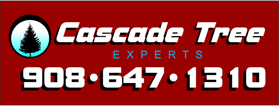 Cascade Tree Experts